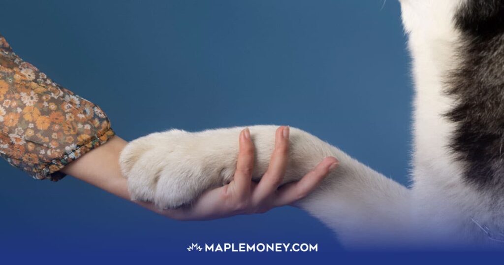 Petsecure Review: Is it Worth It?