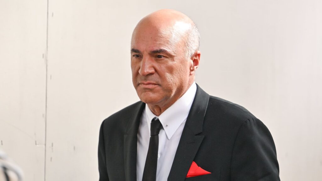 Kevin O'Leary says he will 'love to do a TikTok deal'