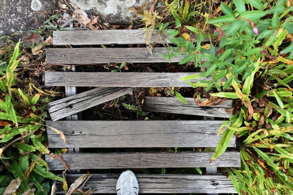 Four Roth IRA Pitfalls Your Adviser May Not Tell You About