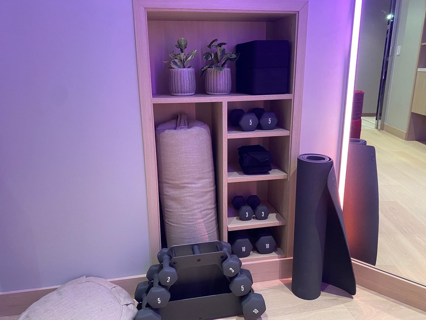 Plant, Indoors, Interior Design