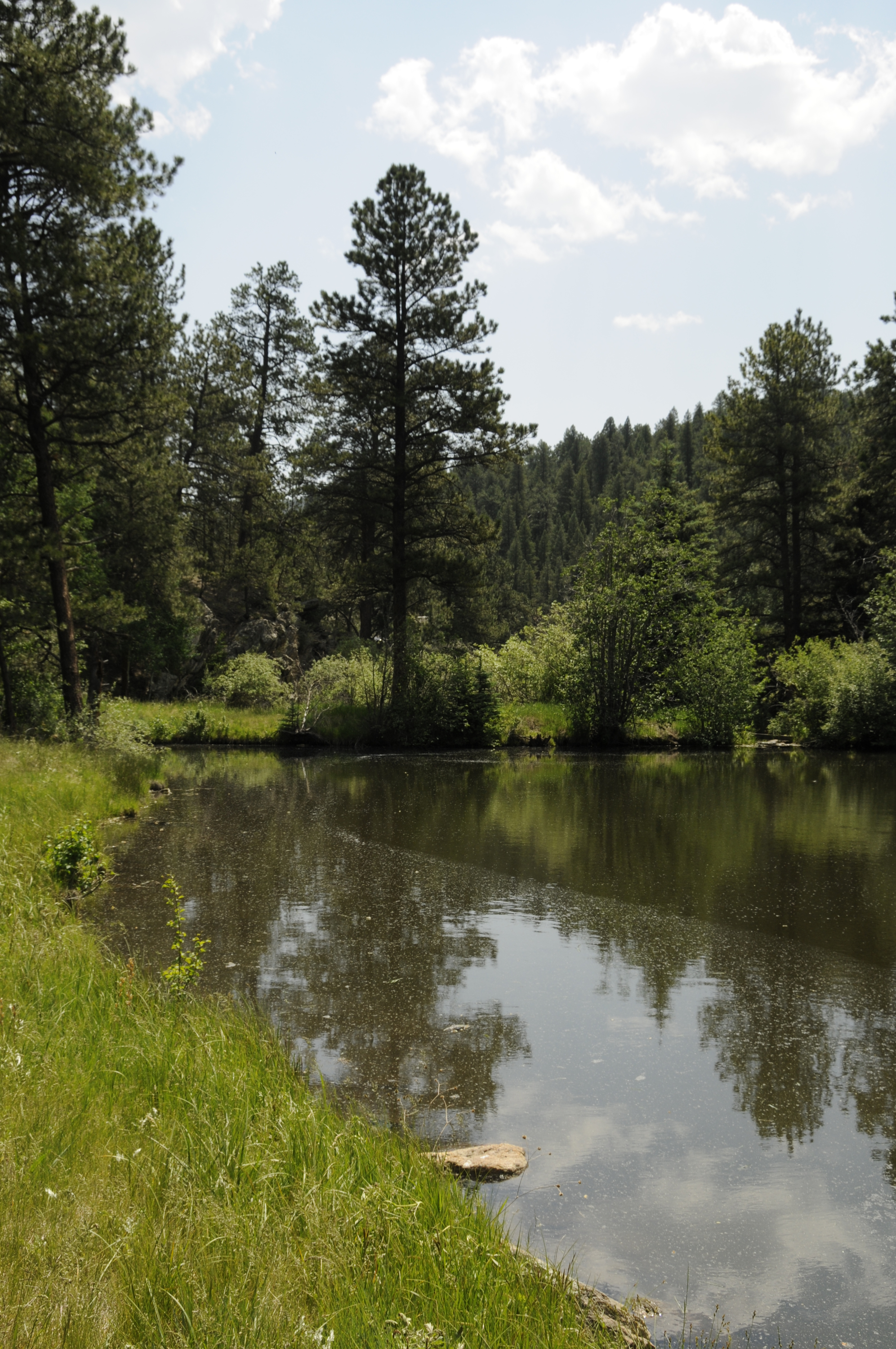 Creek in grounds of luxury home, Colorado