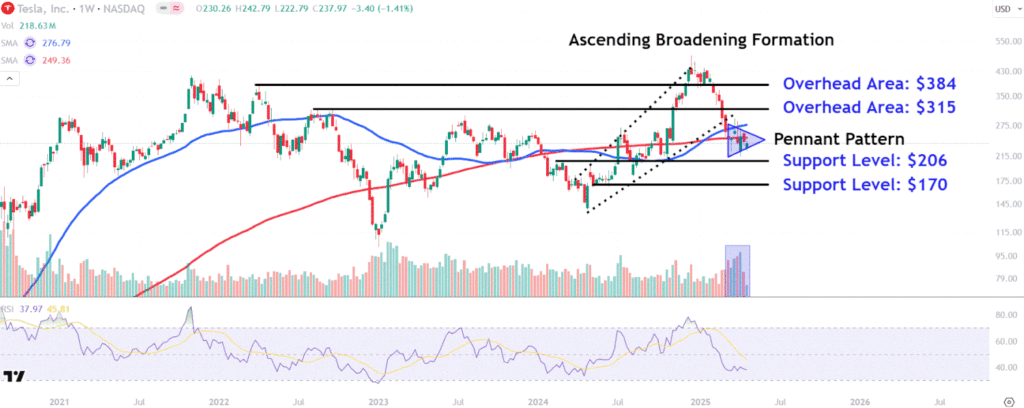 Watch These Tesla Levels as Stock Rises After Musk Says DOGE Role Will Diminish