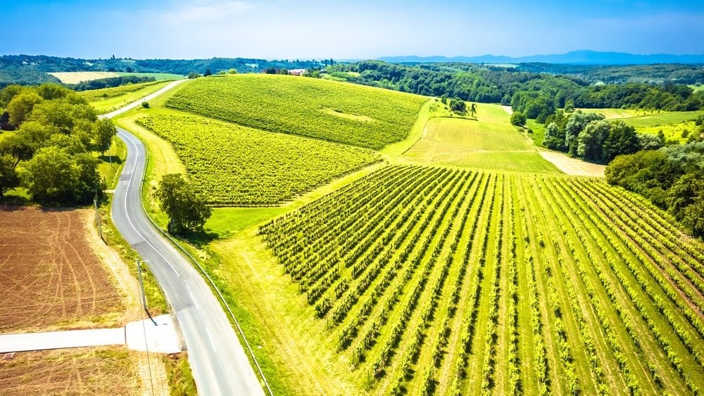 Croatia’s Badel 1862 acquires Agrolaguna, Vinarija Novigrad from Fortenova