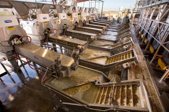 Pistachio processing facility