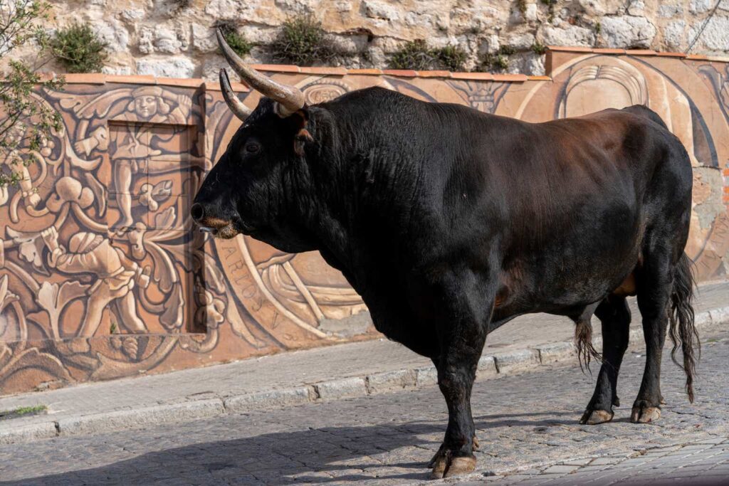 Micron: I'm Finally Bullish (Rating Upgrade)