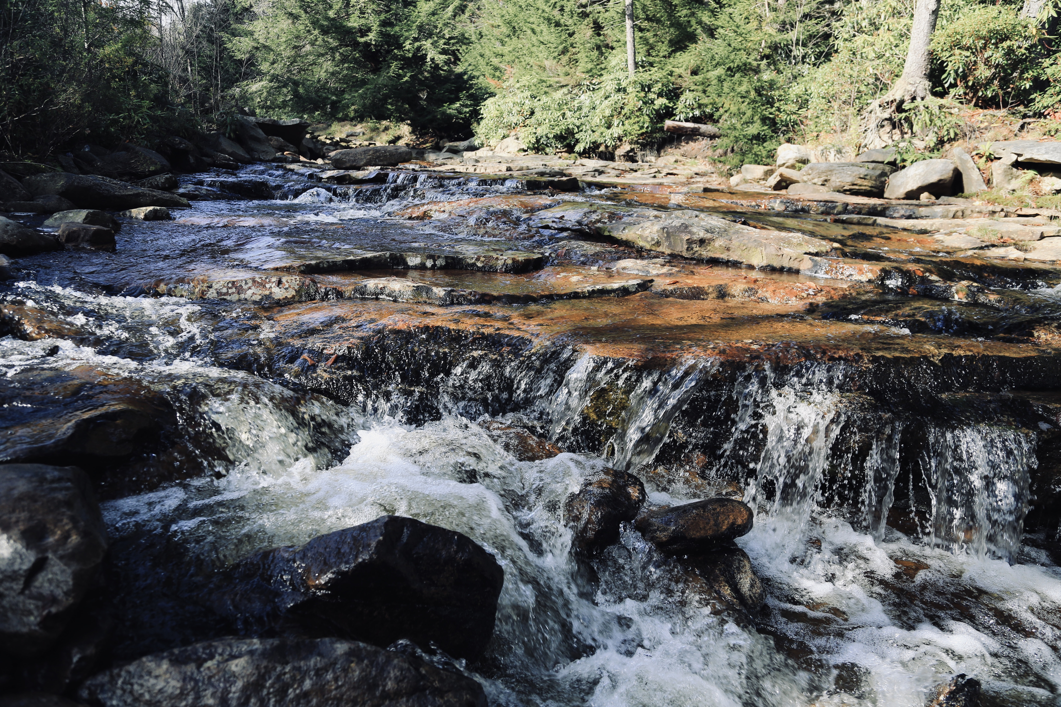 spring water running through the Allegheny Mountains