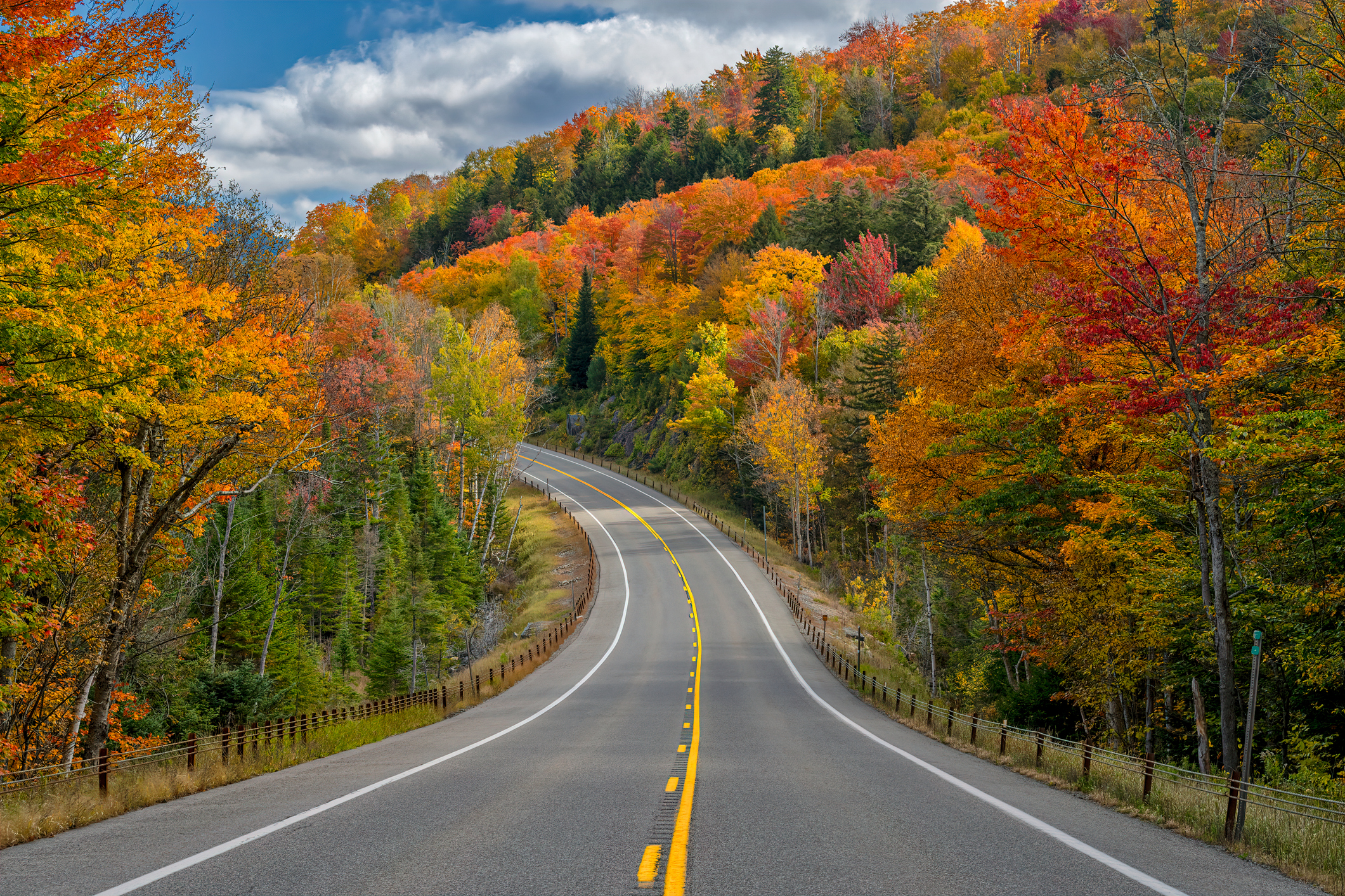 autumn trees lining a curved road near Saranac Lake, NY