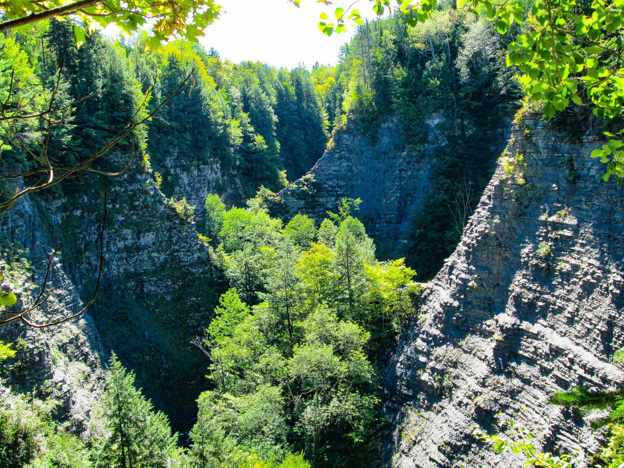 view of a gorge area in Whetstone Gulf State Park