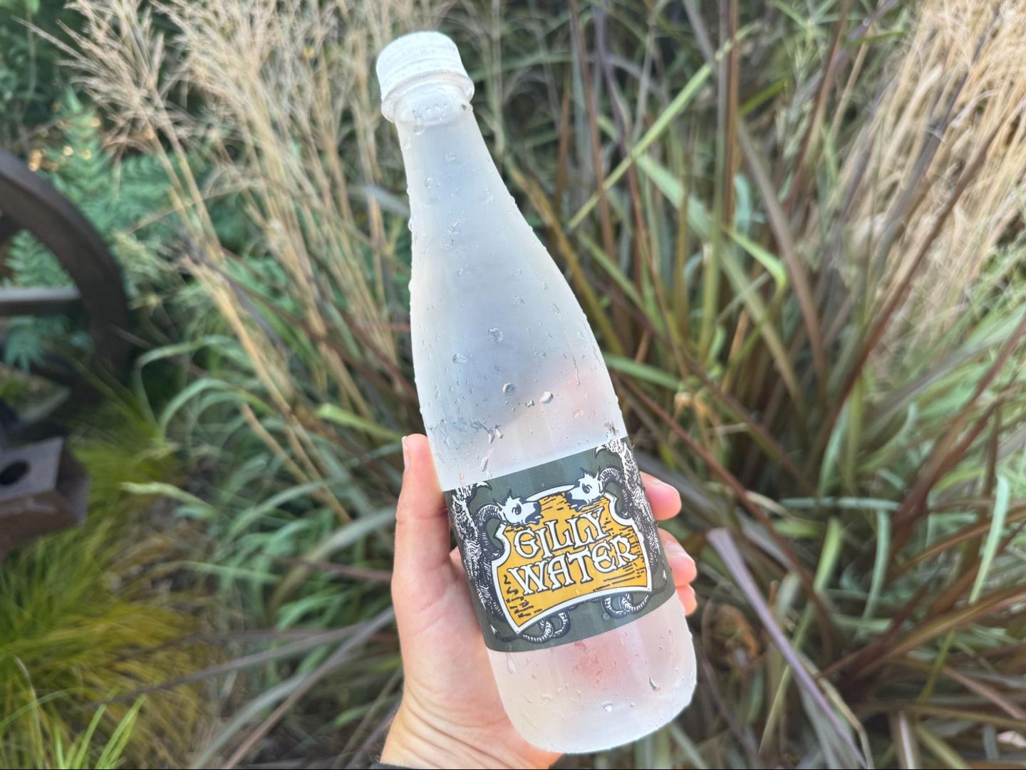 Bottle, Beverage, Pop Bottle