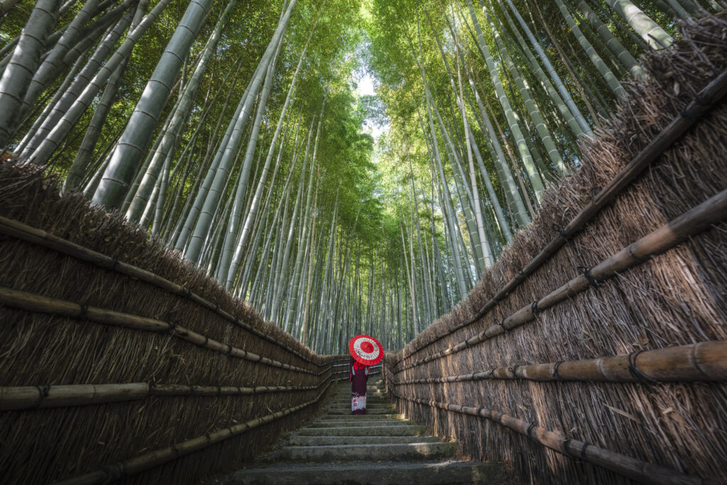 Japanese woman in kimono on wooden pathway in bamboo forest, Japan