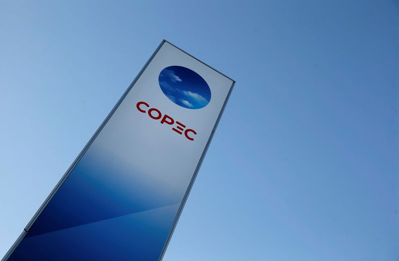 China pulp market could be challenging in face of US tariffs, Copec says