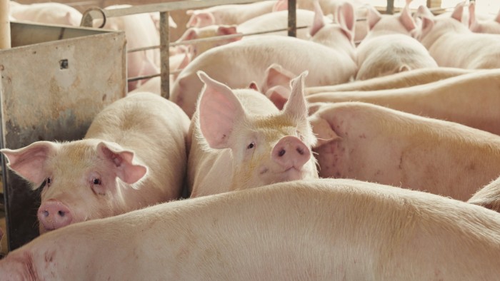 US targets Britain’s pork, poultry and seafood markets