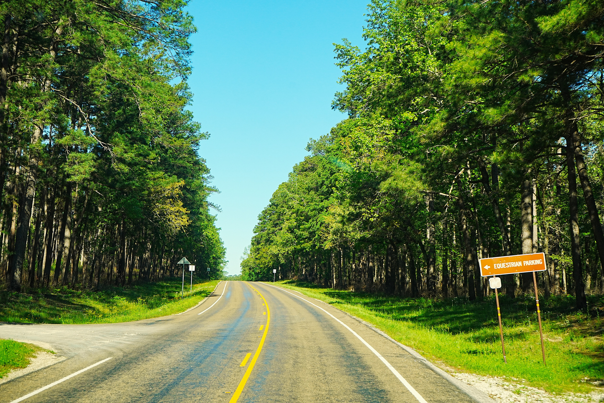 Drive through North East Texas, including Angelina National Forest, with 