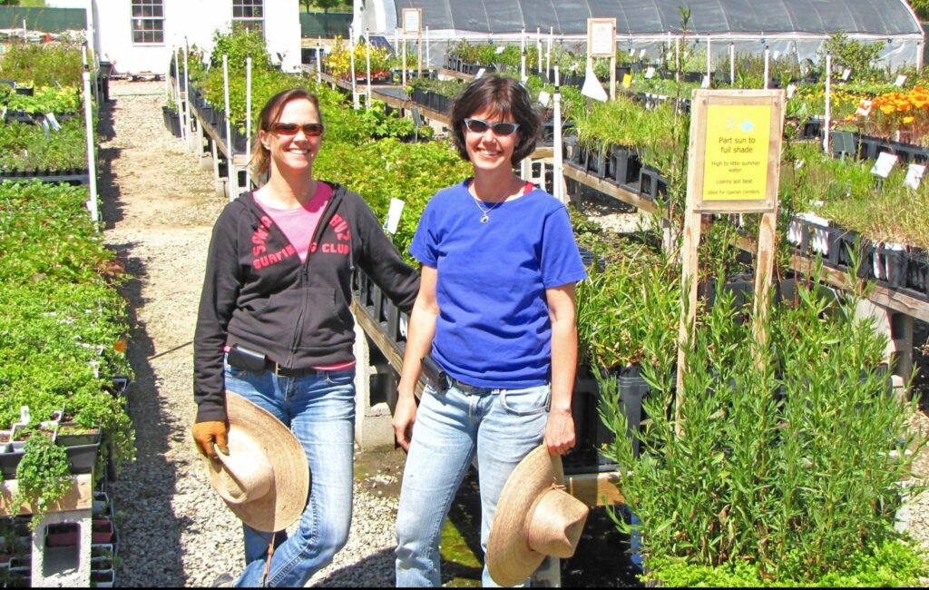 How to Choose a Bank for Your Nonprofit