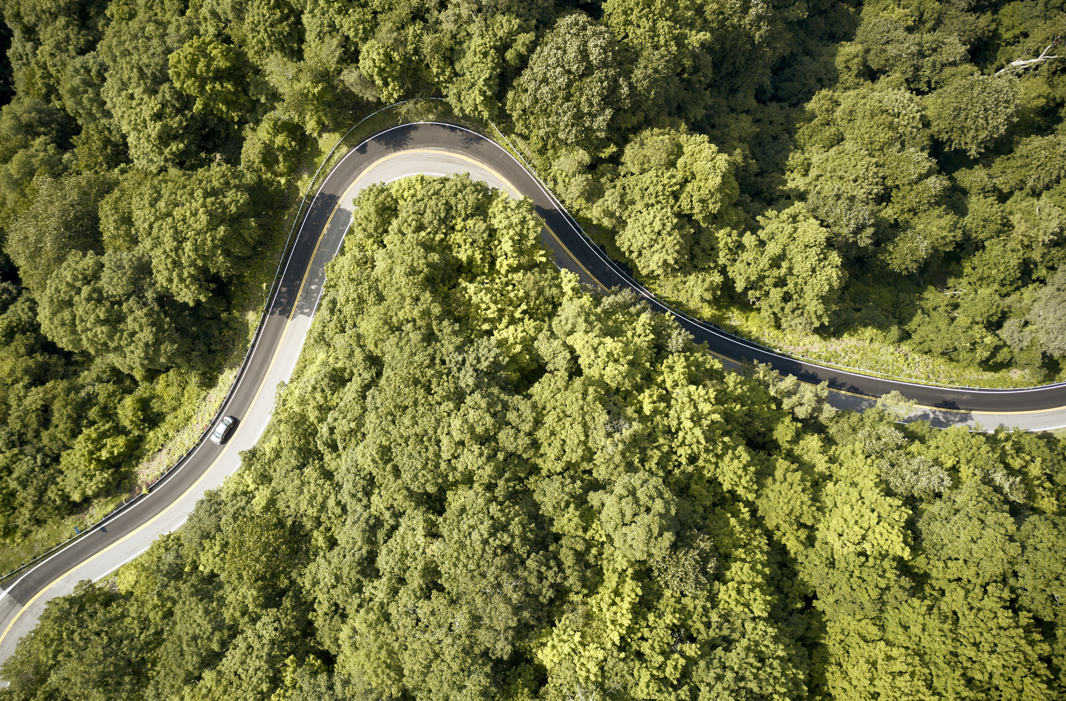 Aerial view of 