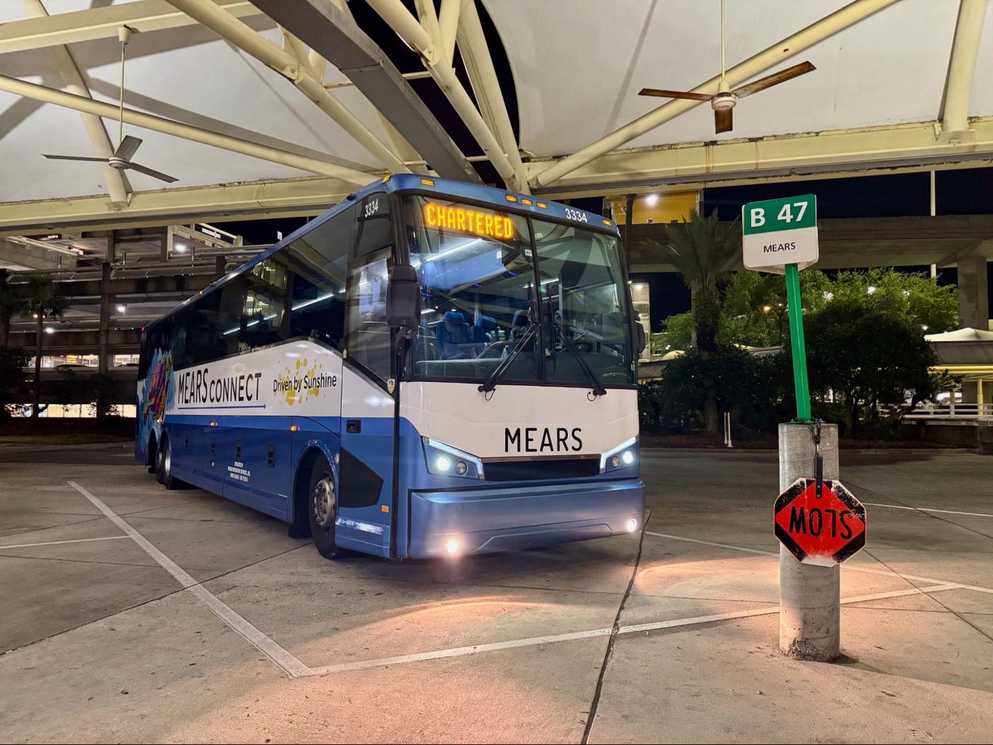 Bus, Transportation, Vehicle