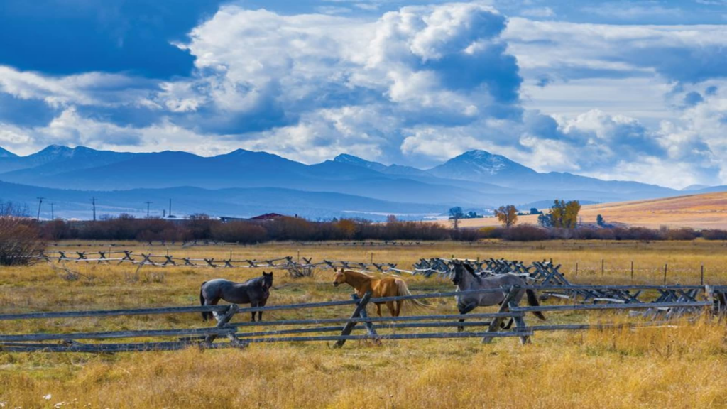 Trophy-property ranches hit the market as more heirs choose to sell