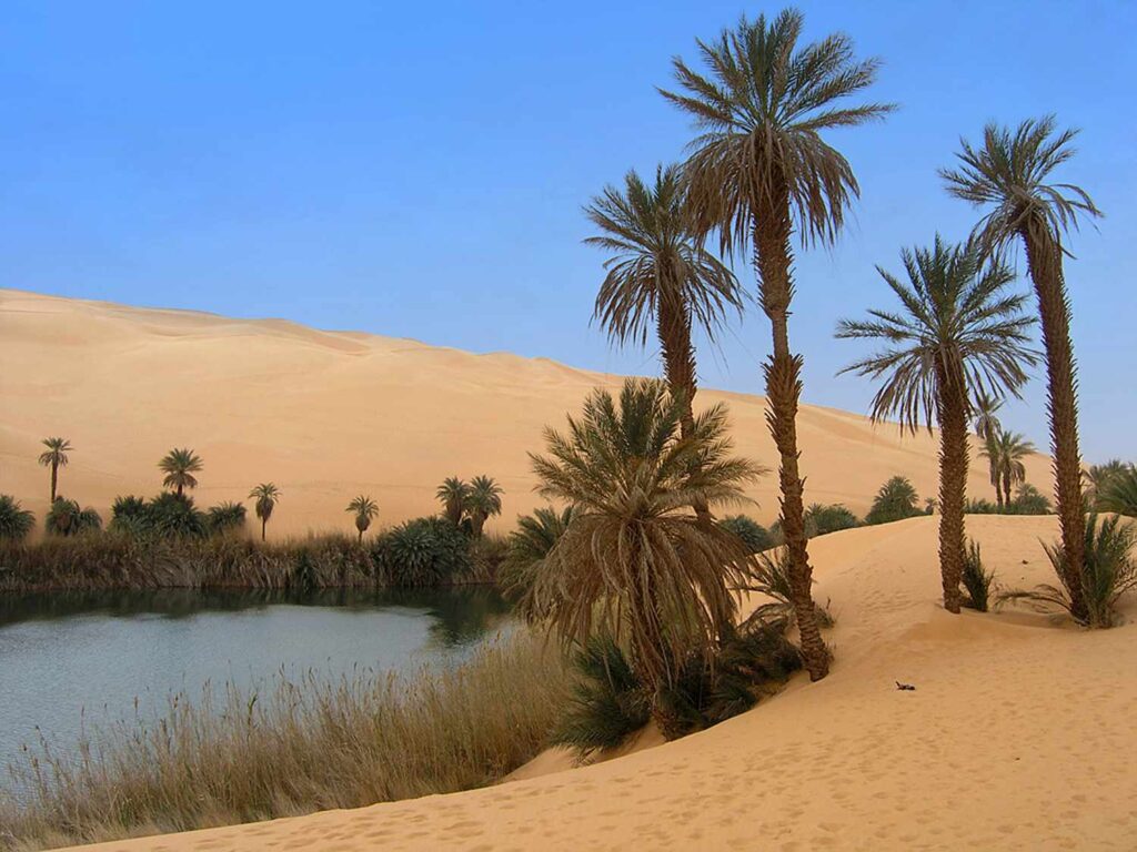 What This Means for the U.S. Economy