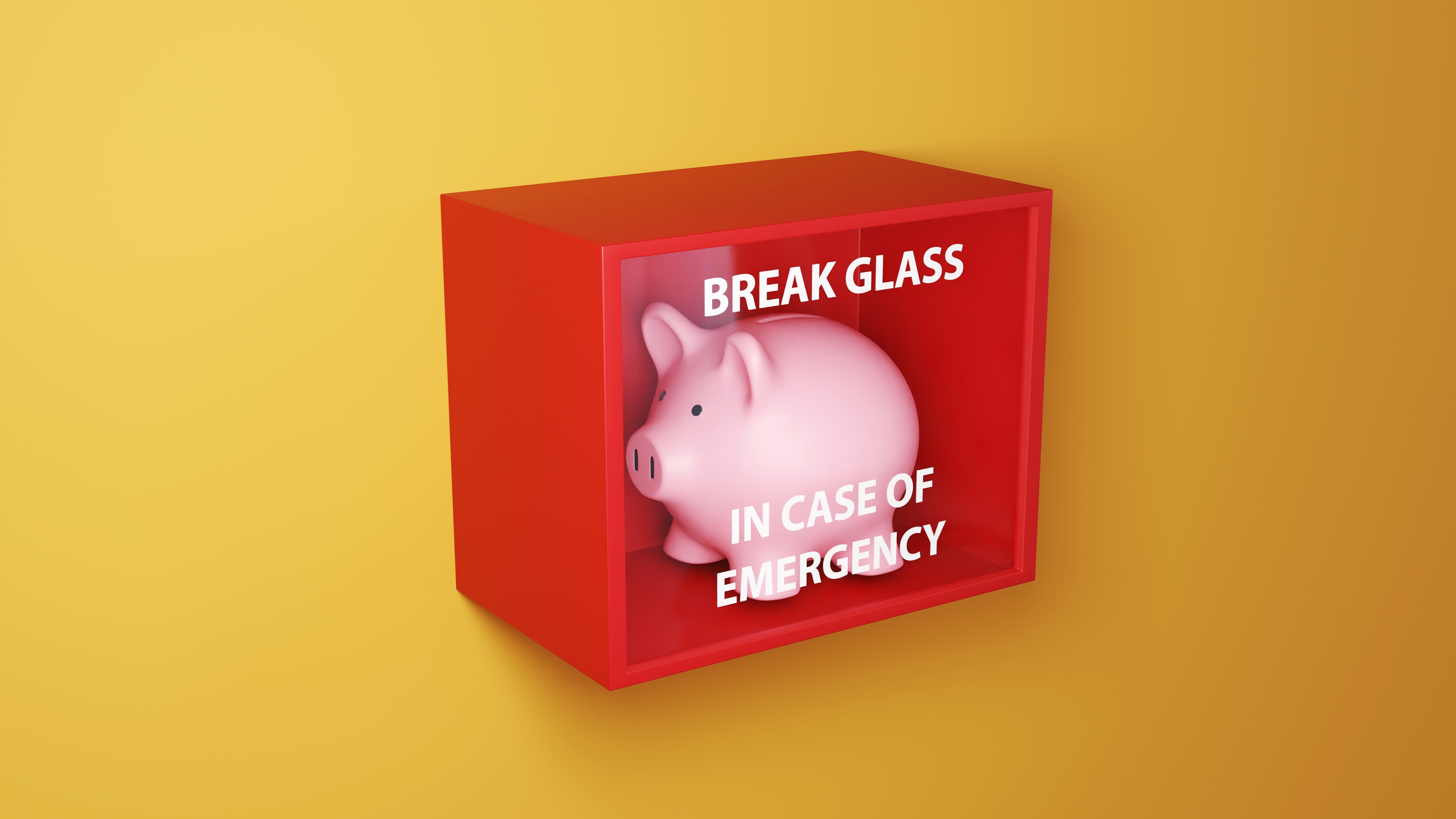 A piggy bank inside a red "break glass in case of emergency" box.