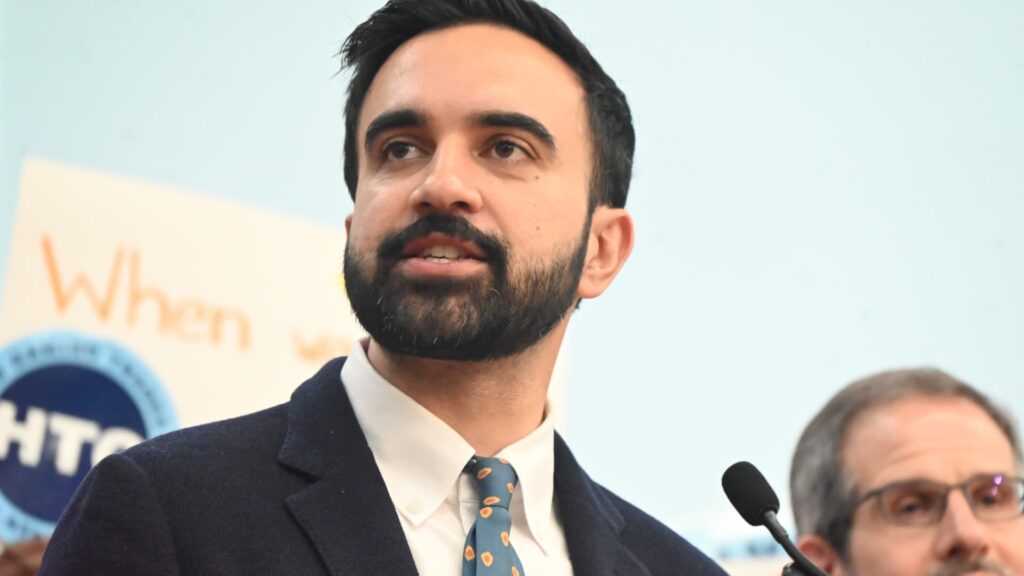 Mamdani city-run grocery store plan criticized as unrealistic