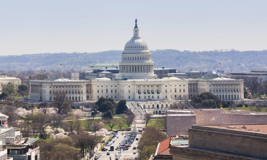 Profile photo of Randa Kriss