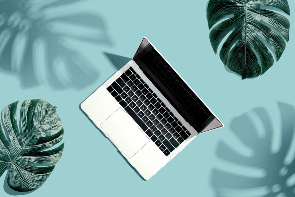 Which Print On Demand Platform Is Best for You?