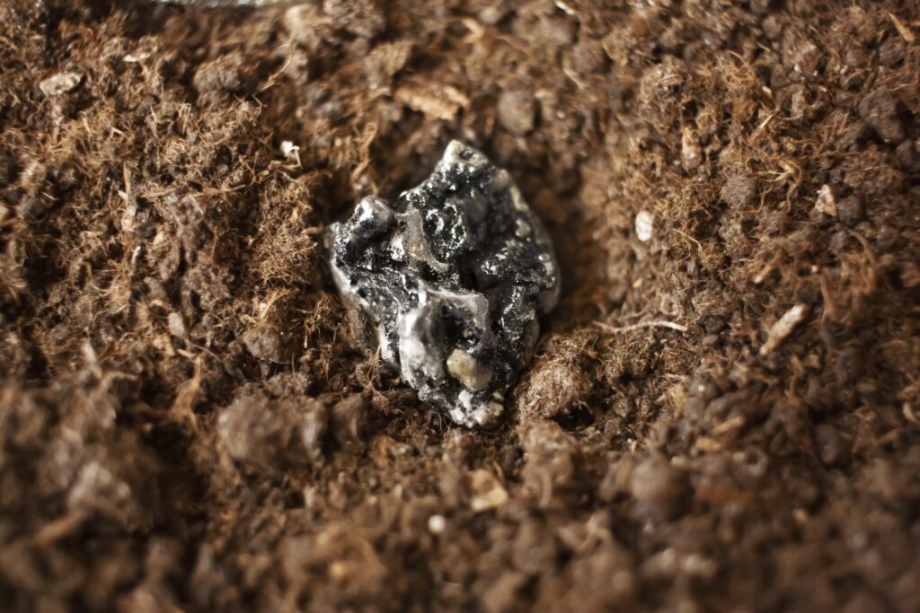 The Rare Earth Element Bubble Bursts