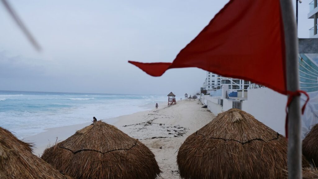 VC who backed billion-dollar AI firm shares two red flags in founders