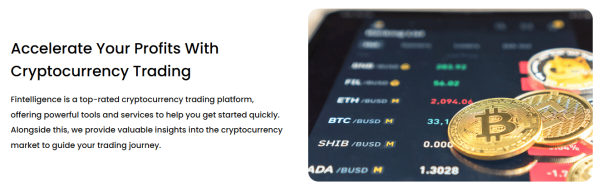 Fintelligence