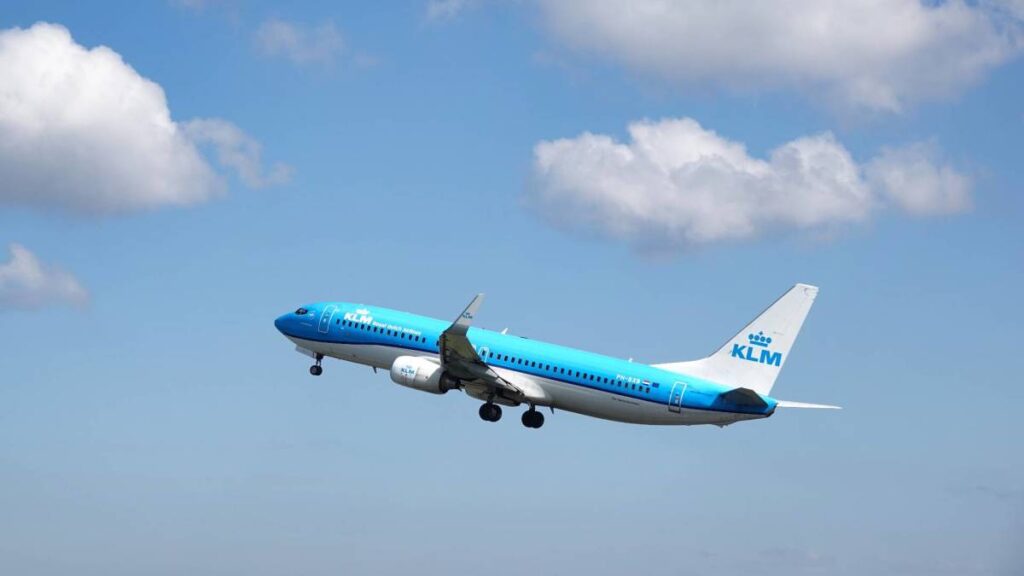 Rat on airline flight causes diversion, leaves passengers stranded