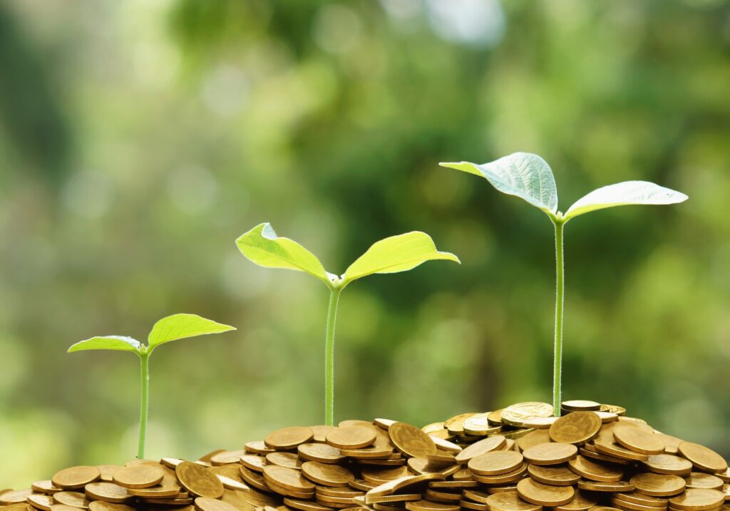 Touchstone Dynamic Large Cap Growth Fund Q3 2025 Commentary