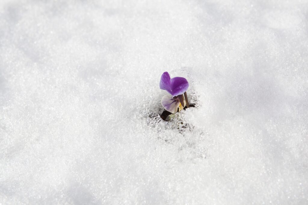 Marvell Technology Stock: The AI Data Path Trade After GPU Excess (NASDAQ:MRVL)