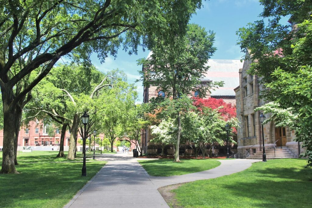 Sunny view of a tree-lined campus path winding past historic stone university buildings. This scene visualizes the setting for the ongoing debate about administrative bloat at U.S. colleges, providing context for the analysis of staffing ratios and operational costs at institutions like Ivy League schools. Source: The College Investor