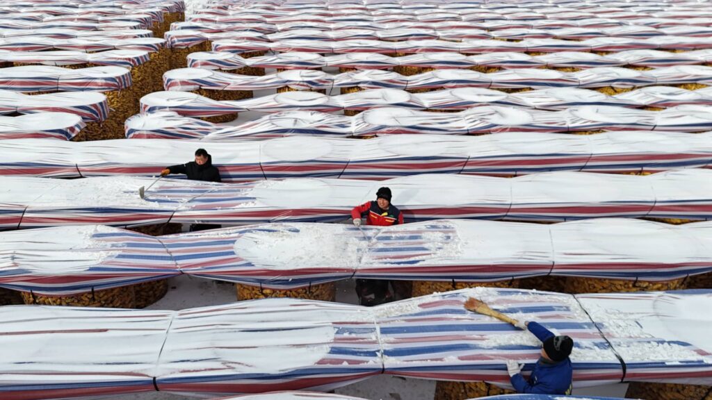 Inside China’s push to feed 1.4 billion people without U.S. crops