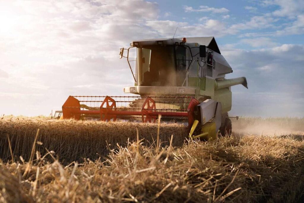 Wheat Leads the Grain Rally on Friday