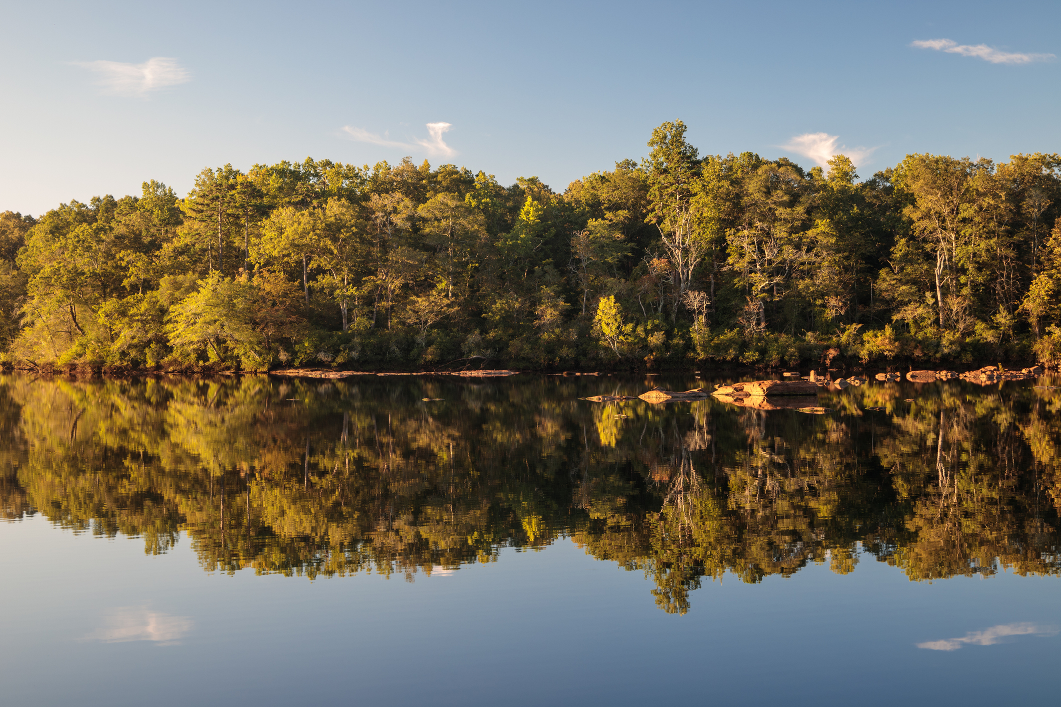 Scenic view of a lake by trees against the sky on the Savannah River, South Carolina