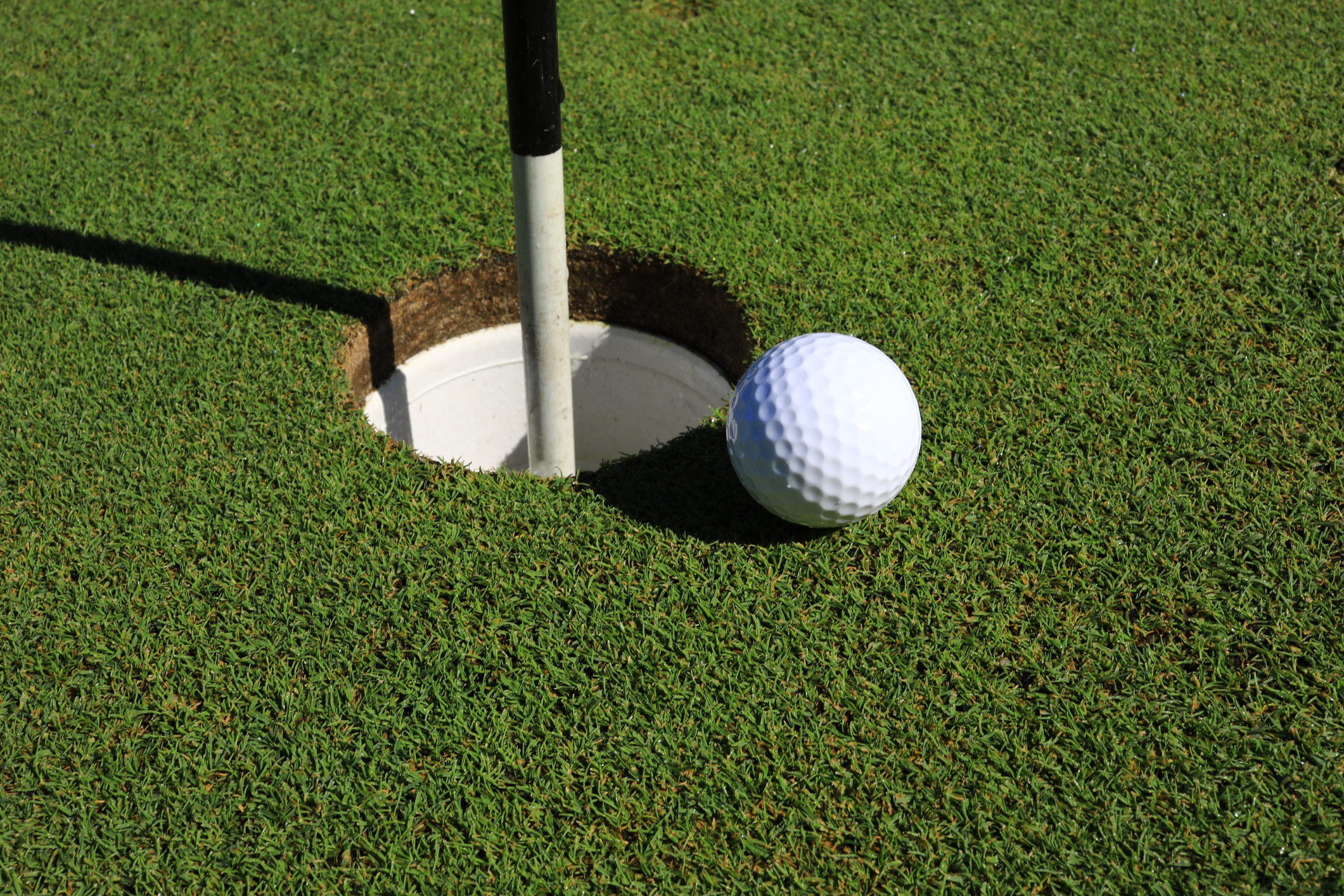 golf ball on the edge of the cup