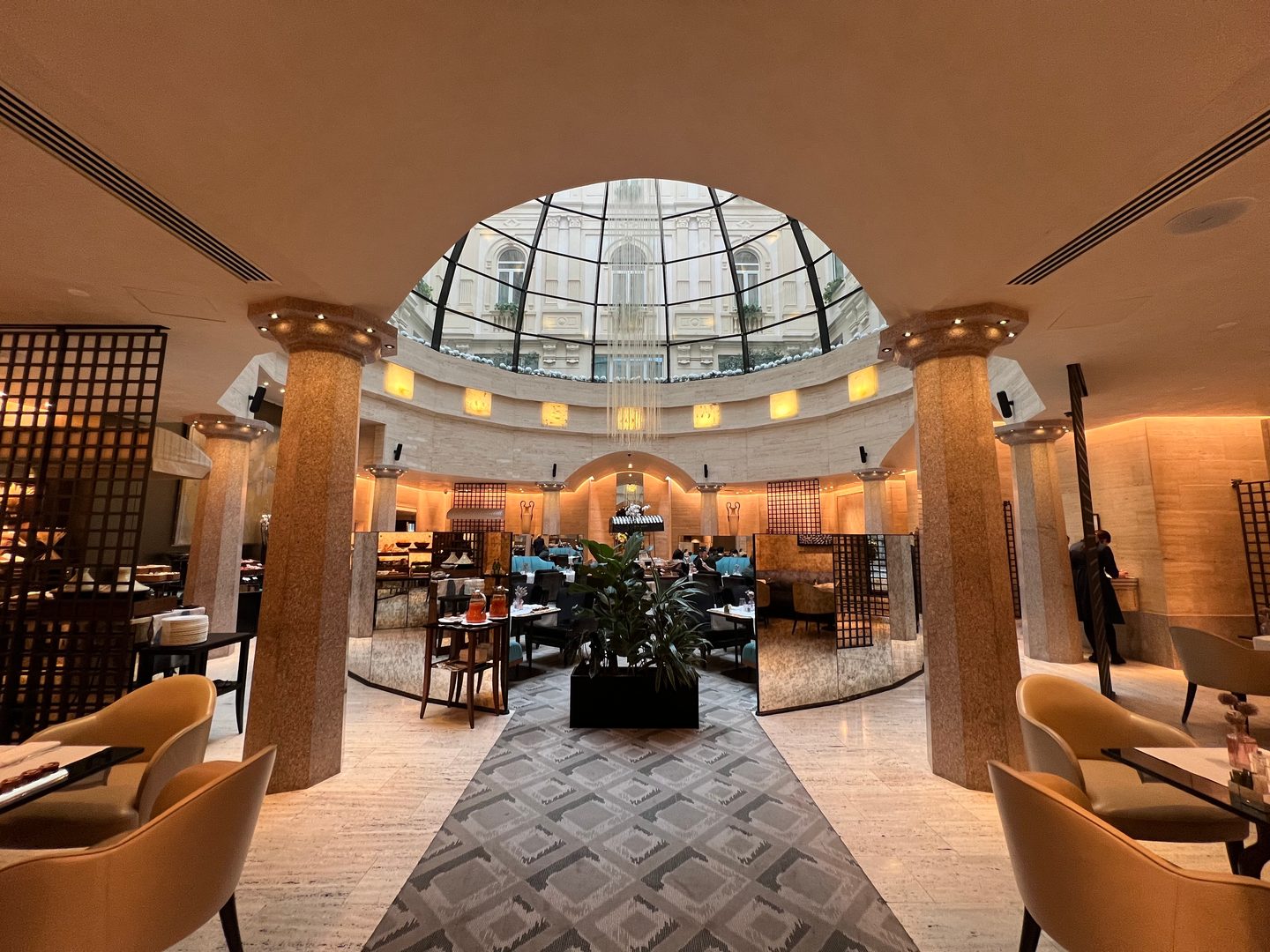 Floor, Flooring, Plant