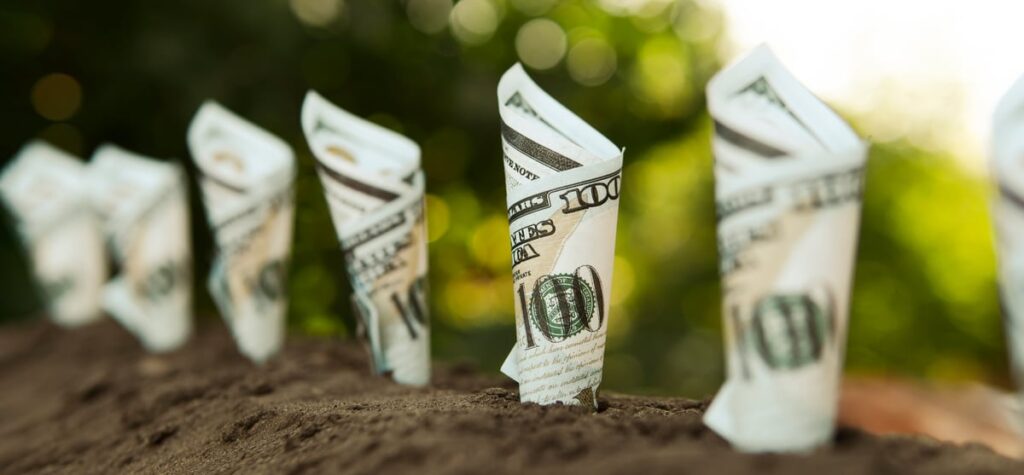 Rolled-up dollar bills growing in a garden.