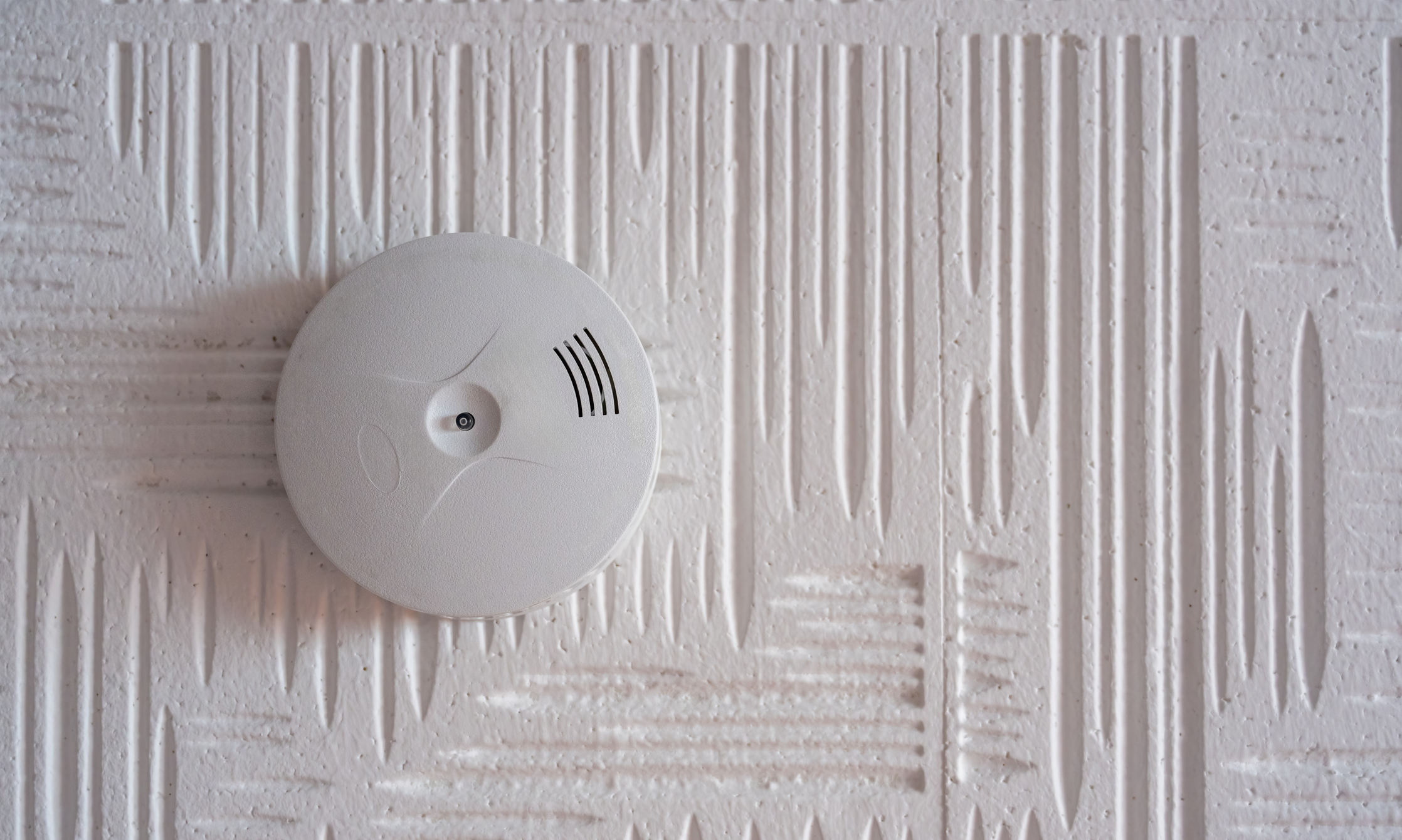 a picture of a smoke and CO2 detector