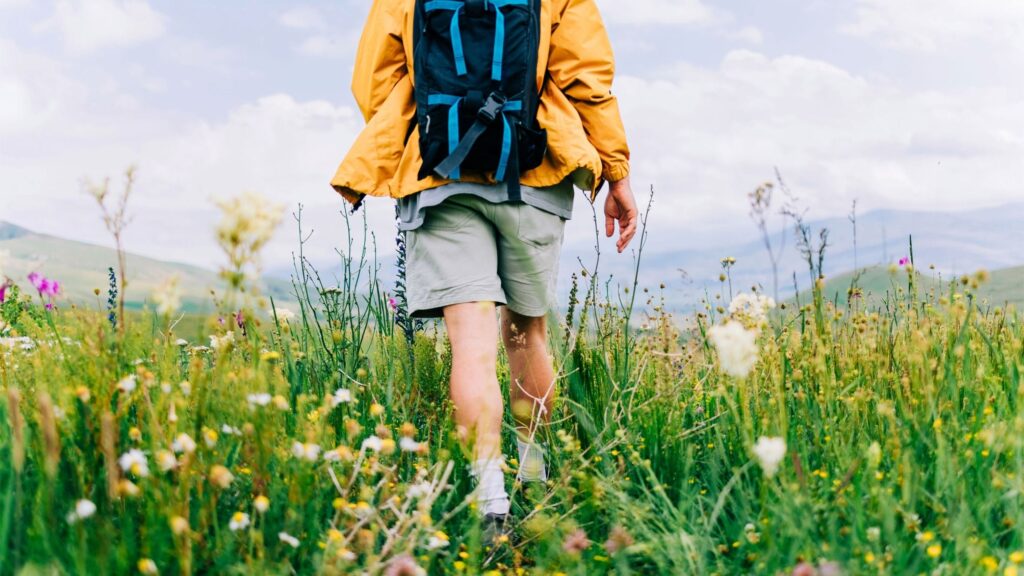 Financial Independence vs Retirement: Key Differences