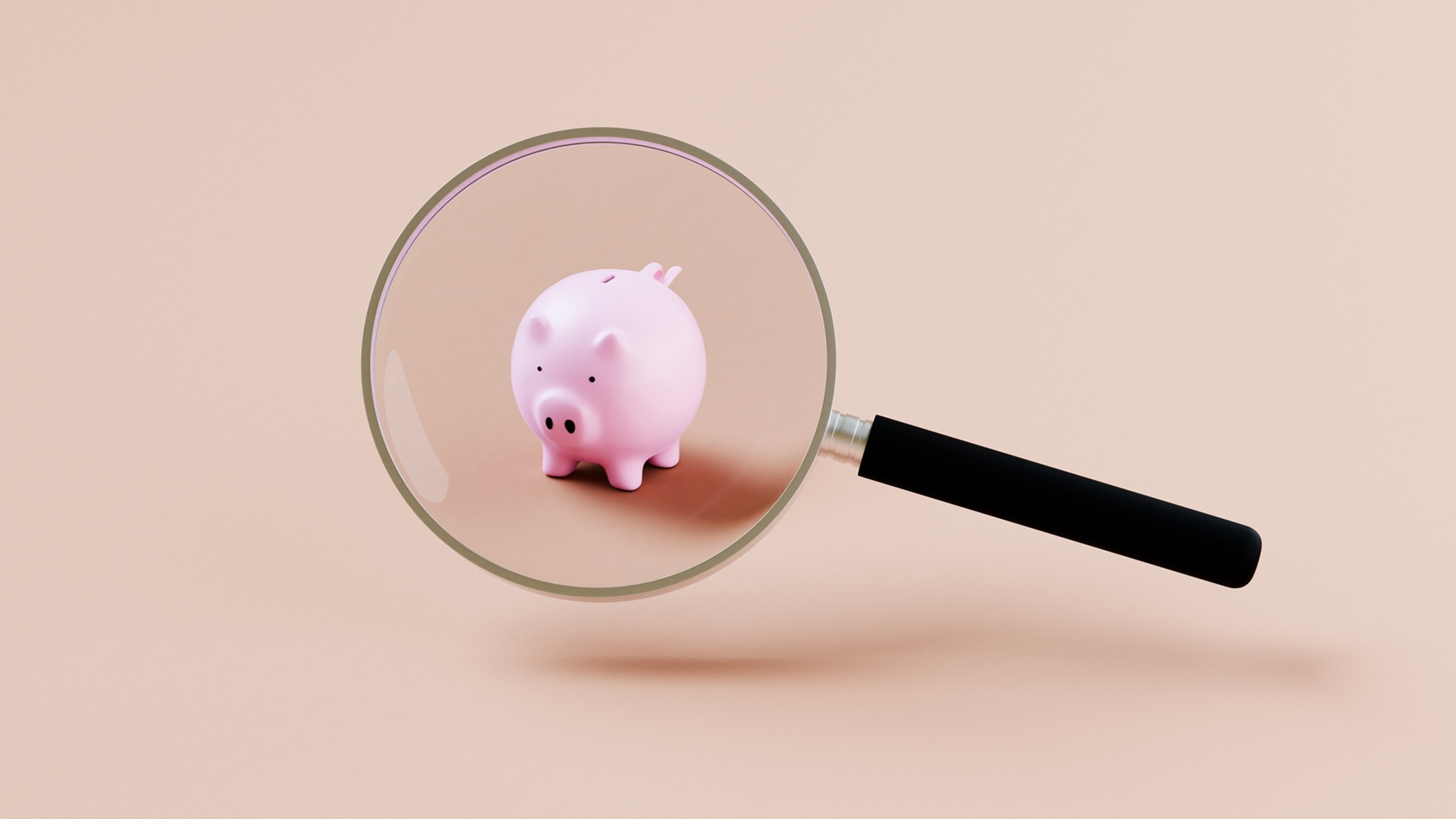 A piggy bank under a magnifying glass.