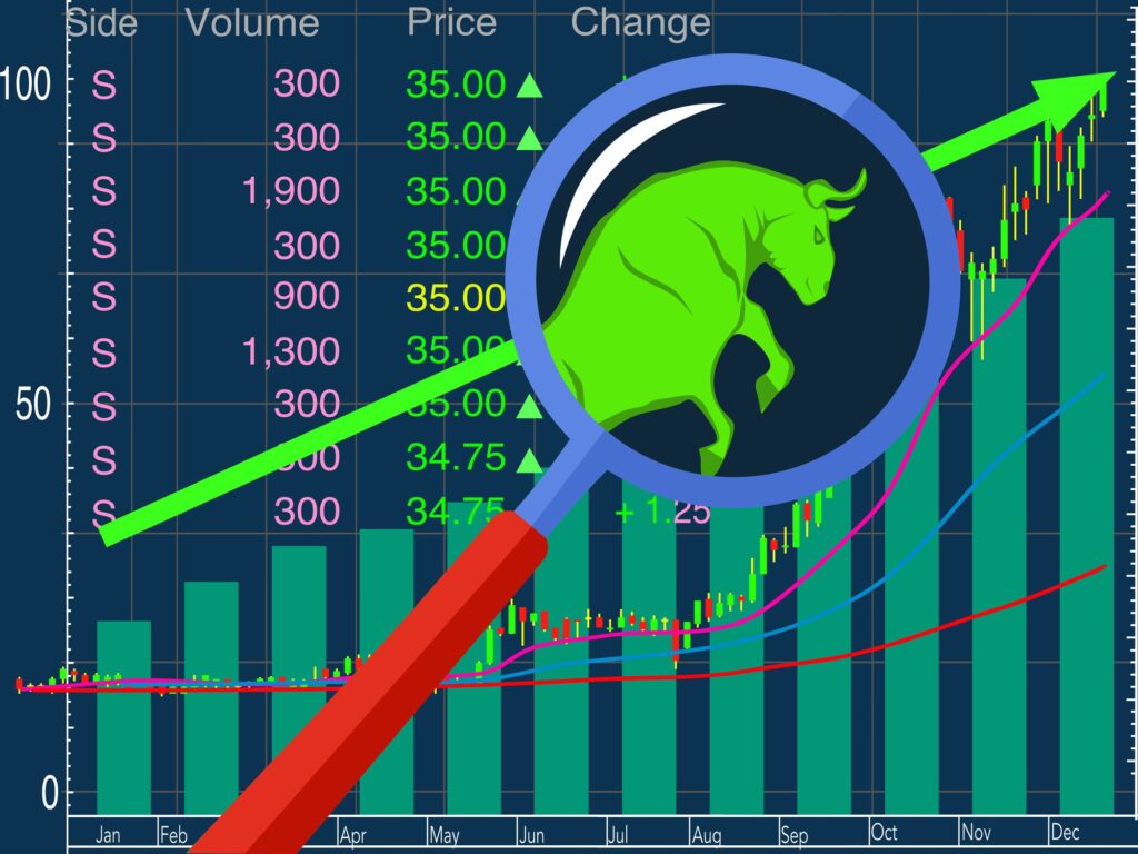5 Tips for Using Stock Screeners to Build Your Portfolio