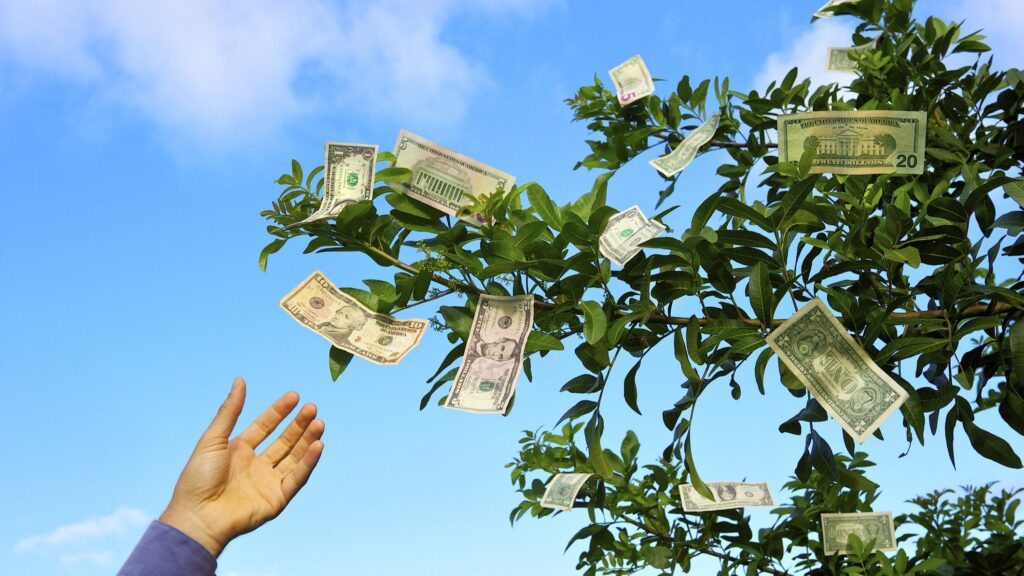 What Kind of Heir Are You? Take Our Quiz to Reveal Your Money Style
