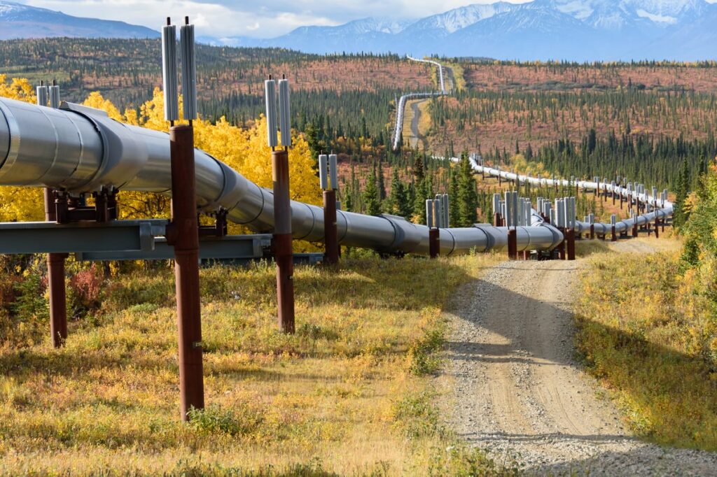 Pipeline through a mostly evergreen forest with snow-topped mountains in the background.