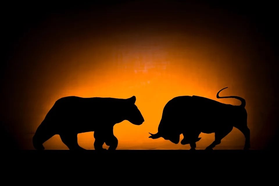 Bull and bear showdown. 