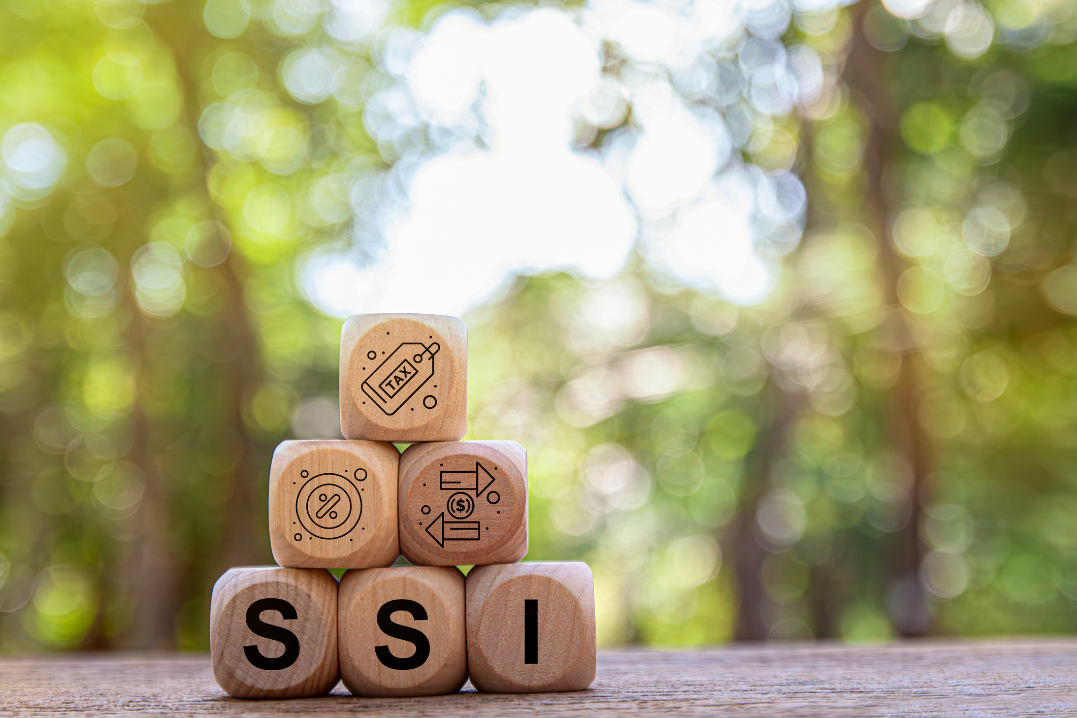 Supplemental Security Income State Supplemental Payments SSI is a federally and state-funded program that provides a guaranteed minimum monthly income