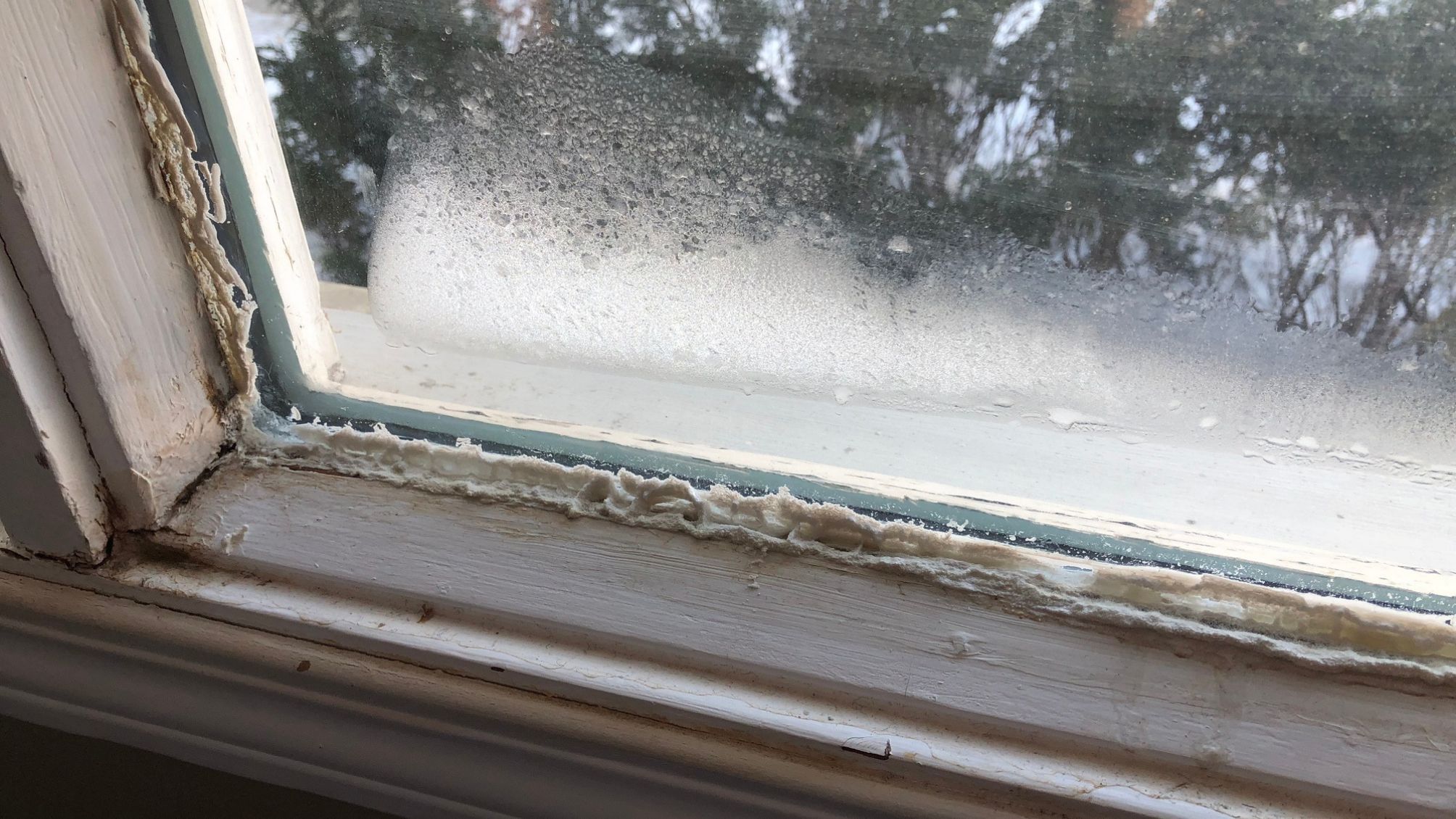 Old windows in a home suffering from moisture problems.
