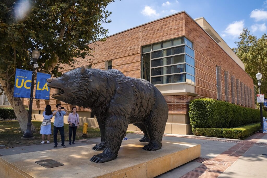 Man photographing bronze statue of Bruin with smartphone at campus of UCLA with college building in the background.